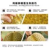 泰国金枕鲜榴莲单个装 商品缩略图4