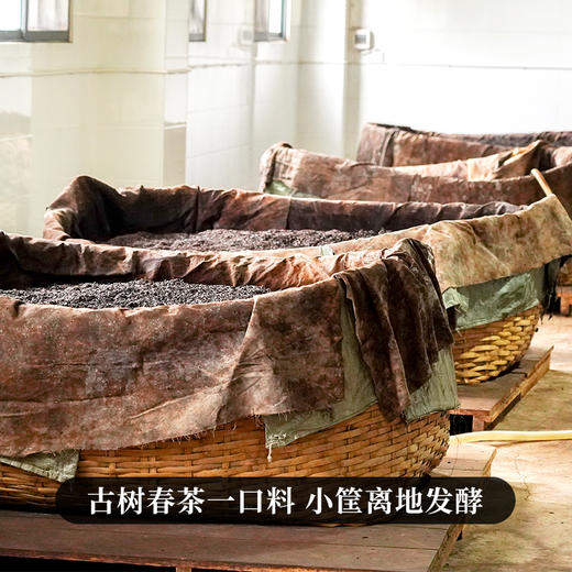 【老班章乔木熟茶】10年陈熟茶云南西双版纳勐海老班章高端熟茶口粮茶，357克/饼拍5发6拍20发25 商品图1