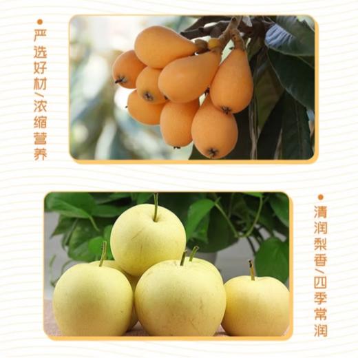 乖孩子梨膏批杷棒棒糖48g 商品图5