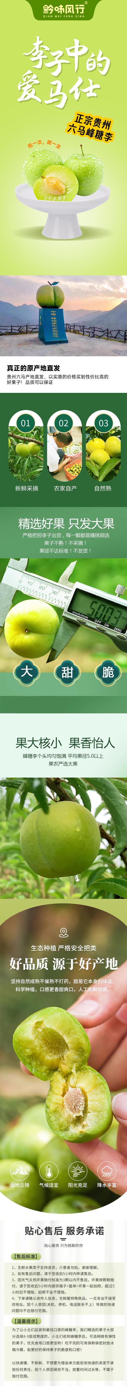 正宗六马蜂糖李蜜甜脱骨李顺丰包邮（市直机关） 商品图5