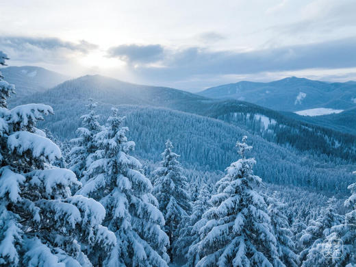 1月20日出发，冬韵小兴安岭摄影6天：伊春·库尔滨雾凇、大平台、高山村、大箐山冬景 商品图9