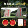 元生泰 灵芝红茶5g*2袋/盒*5盒  武夷灵芝与桐木关正山小种相融合 口感醇厚 商品缩略图10
