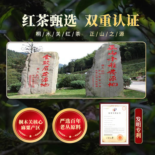 元生泰 灵芝红茶5g*2袋/盒*5盒  武夷灵芝与桐木关正山小种相融合 口感醇厚 商品图10
