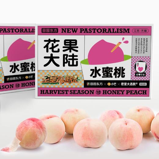田园东方 阳山水蜜桃8粒装 商品图3