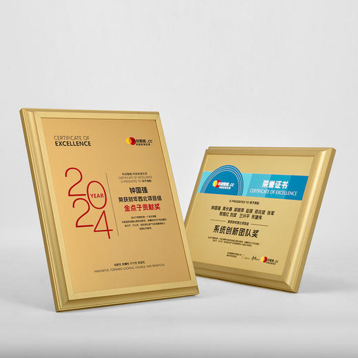 高档金属奖牌创意授权牌定制牌匾定做荣誉纪念铜牌证书奖杯订制 商品图6