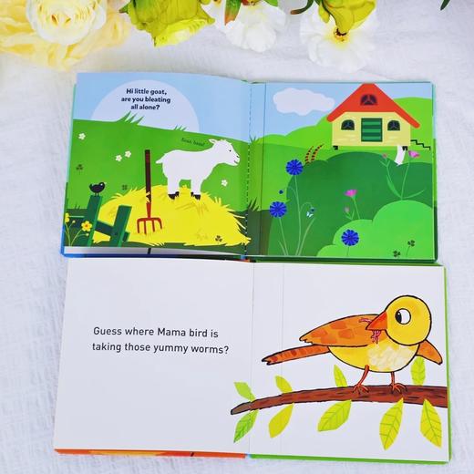 游戏隐藏书系列 适合1岁+语言开发情商开发日常生活 商品图1