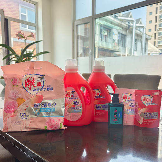雕牌香水洗衣液/2+香水洗衣粉/1+百年精油洗发/1+小袋香水洗衣液/2 商品图1