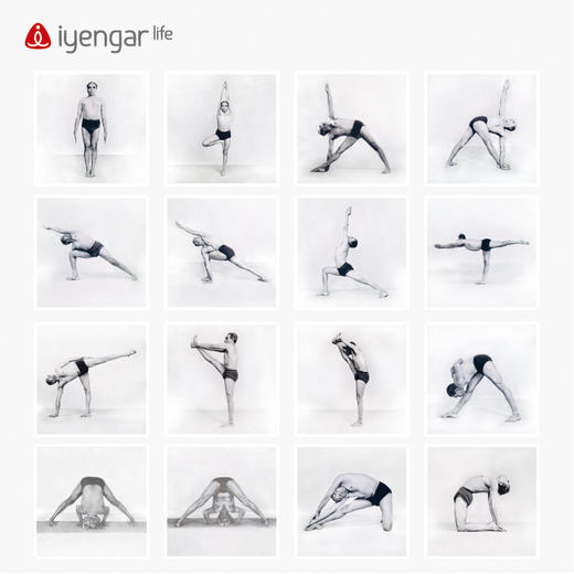 艾扬格 Life 艾扬格大师体式照片挂画  瑜伽场馆气氛装修 8张起售（挂画大小：50CM*50CM） 商品图1