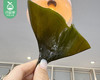 甄选东山海带头-干货（250g±5g/包）生产日期: 4月 商品缩略图2