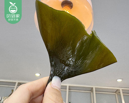 甄选东山海带头-干货（250g±5g/包）生产日期: 4月 商品图2