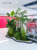 高仿真植物造景定制设计/商场家居多场景生态景观搭建+一站式安装（具体价格可咨询商家） 商品缩略图3