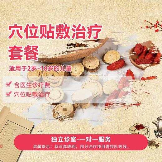 穴位贴敷治疗 商品图0