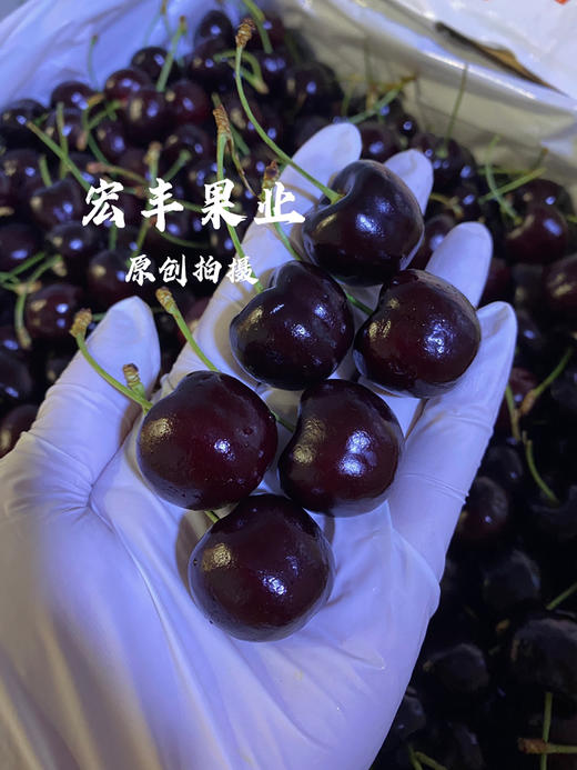 宏丰精选 美国车厘子硬度好 口感甜脆 长腿绿身 活动价138元2斤 商品图6