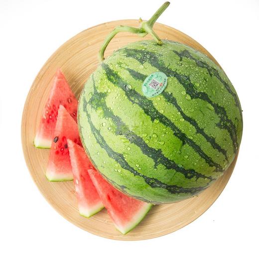 南汇8424西瓜1个礼盒装 单果3kg以上 商品图0
