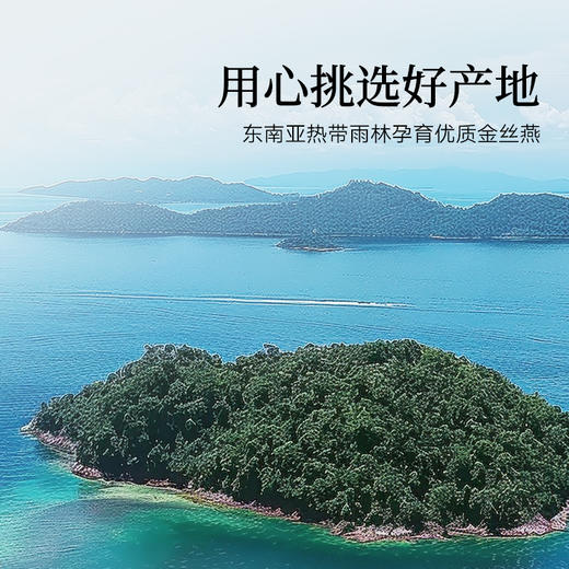 【正宗同仁堂品牌】北京同仁堂 造养青年 马来燕窝（金标款）-100克   优质金丝燕SY 商品图8