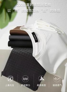 品牌商场同步高端液氨丝柔棉男士纯色通勤休闲T恤