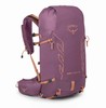 OSPREY Tempest Velocity小鹰暴风速率20升30升背包户外徒步登山包女 商品缩略图5