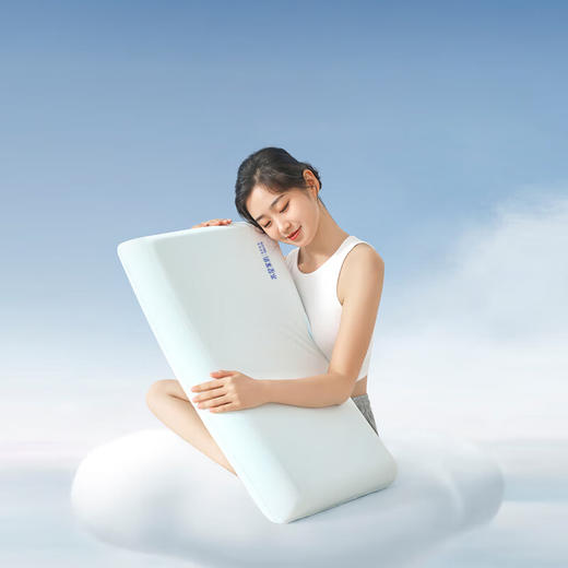 【分仓直发包邮】水星家纺美好时光深睡记忆枕 商品图0