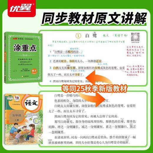 2026春 新领程涂重点人教版语文数学英语一二三四五六年级下册任选语文数学英语课堂笔记同步课本小学教材全解 商品图3