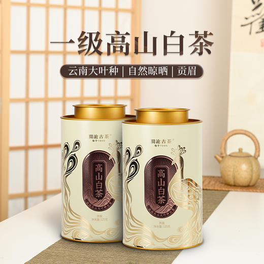 澜沧古茶2025年高山白茶云南云南贡眉白茶散茶100g*2罐 商品图0