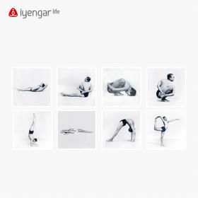 艾扬格 Life 艾扬格大师体式照片挂画  瑜伽场馆气氛装修 8张起售（挂画大小：50CM*50CM）