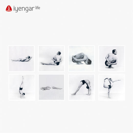 艾扬格 Life 艾扬格大师体式照片挂画  瑜伽场馆气氛装修 8张起售（挂画大小：50CM*50CM） 商品图0