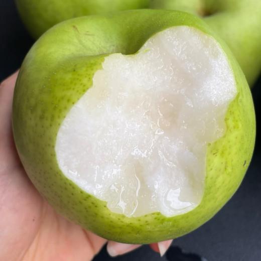 【青皮梨】清甜多汁 肉嫩无渣 青皮酥梨 4.5斤装 商品图0