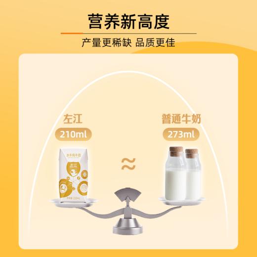 【稀缺优质奶源】左江水牛纯奶 210ml*10盒 高营养健康全家放心喝 商品图7