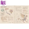【中商原版】驯龙高手 龙之书 Book of Dragons 英文原版 儿童绘本 奇幻冒险神话生物读物 进口童书 受电影启发的博克岛龙指南 商品缩略图1