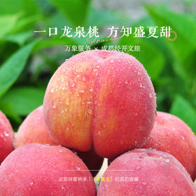 早黄玉·水蜜桃礼盒〔龙泉好礼〕出口级 -  脆甜多汁 非凡品质 -净重4.5斤【水果】