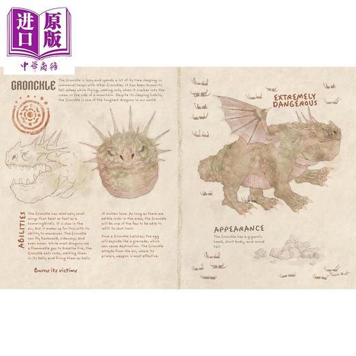 【中商原版】驯龙高手 龙之书 Book of Dragons 英文原版 儿童绘本 奇幻冒险神话生物读物 进口童书 受电影启发的博克岛龙指南 商品图3
