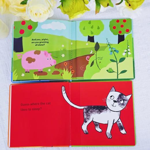 游戏隐藏书系列 适合1岁+语言开发情商开发日常生活 商品图2