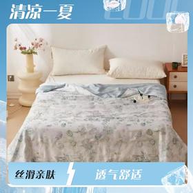 玖加壹６０天丝大豆夏被200*230cm（花色可备注选择）