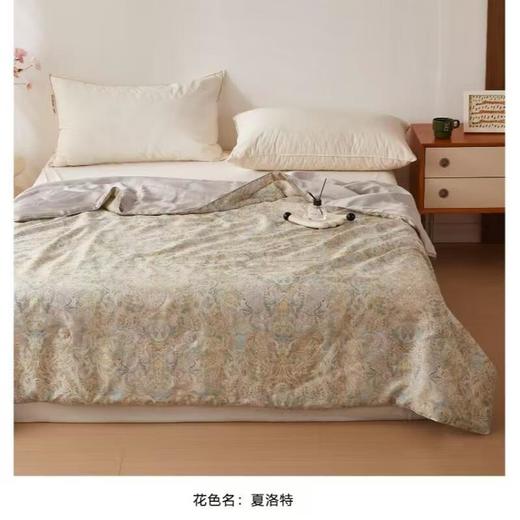 玖加壹６０天丝大豆夏被200*230cm（花色可备注选择） 商品图2