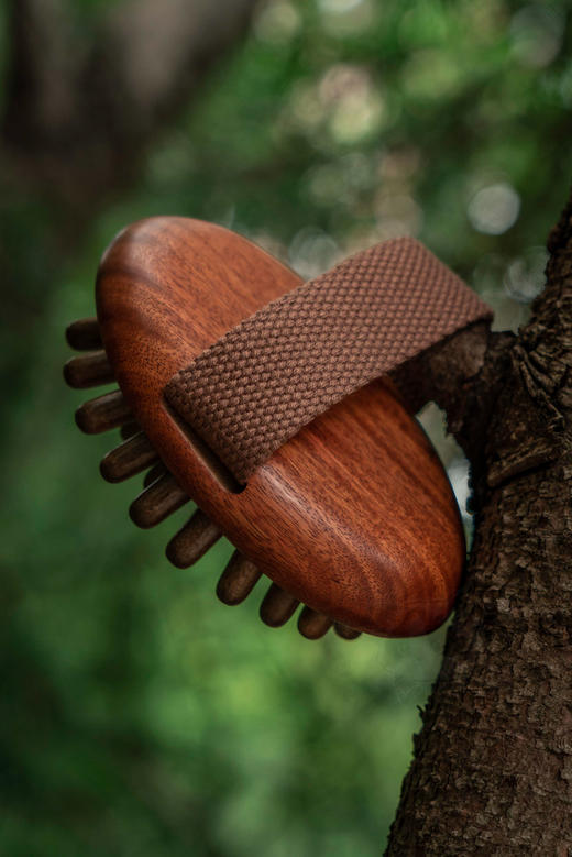 猫太推荐-- 南美檀木经络按摩刷 商品图2