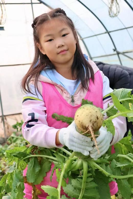 【2-4H志愿时长】我在昌平有块地，全家一起来种地 商品图1