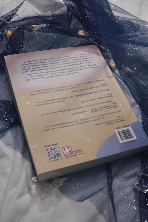 万千心理·青少年辩证行为治疗技能手册 商品图4