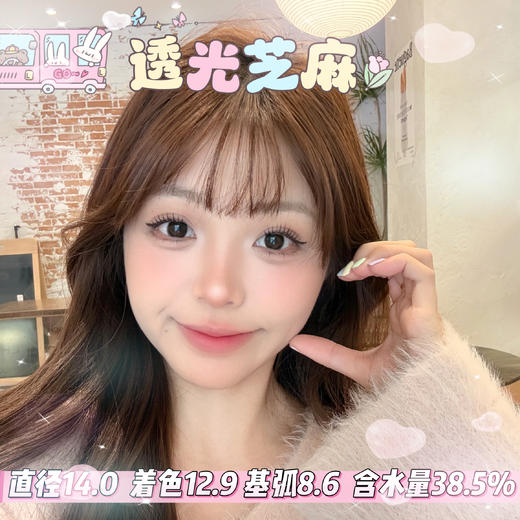 sincecon 半年抛【透光芝麻】14.0mm 商品图0