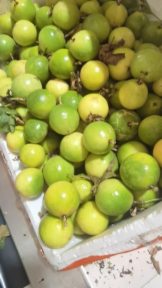 🔥19.9元底价开抢💥甜过初恋的👉【蜜甜黄金百香果（钦蜜9号】😘 ✅ 糖度18-22°，9分甜1分酸，百香果的高端品种～ ✅空口吃甜如蜜糖，尾韵带一丝热带果香！ 商品图1