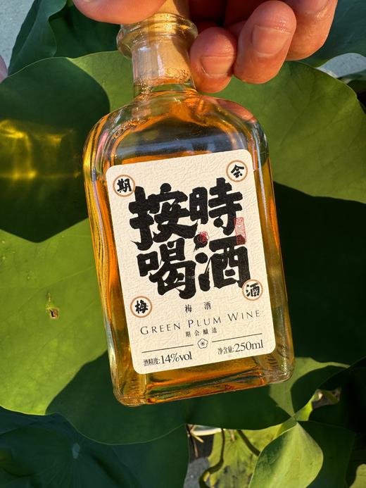 【艺选】期会 梅酒 250ml（一箱6瓶装） 商品图4