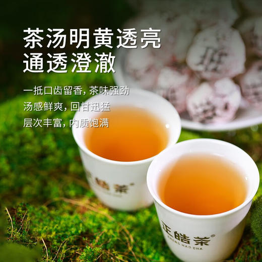 正皓茶业丨大班章 龙珠生普 普洱生茶 2022年 175g 浓酽好滋味 商品图3