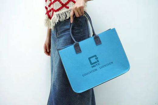 NGTC文创 毛毡袋 商品图2