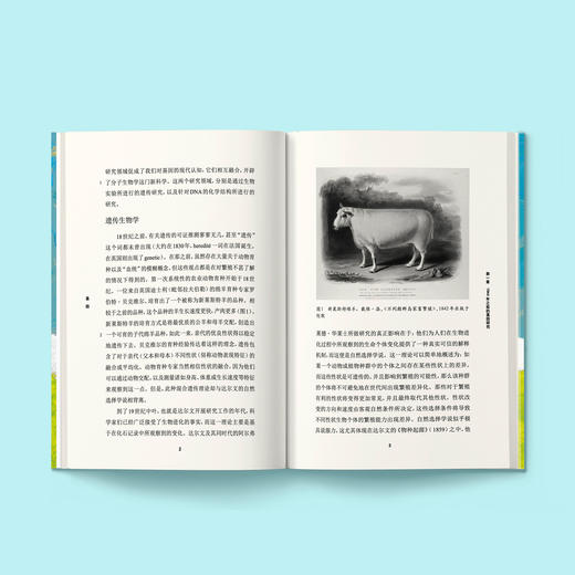 《牛津通识读本：基因》 商品图8
