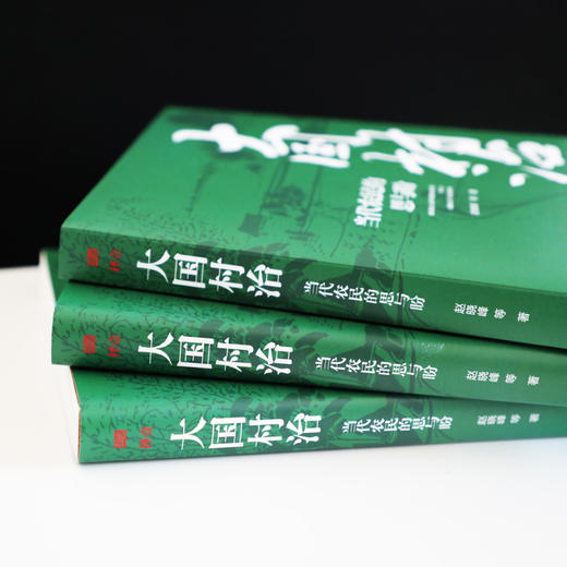 大国村治：当代农民的思与盼 商品图4