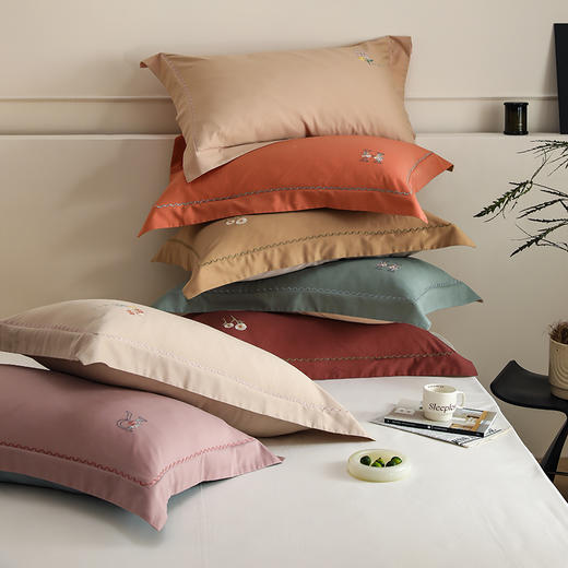 自然醒精梳火山全棉小魔毛工艺单品枕套一对装加厚纯棉毛巾绣枕头套单只HS 商品图3