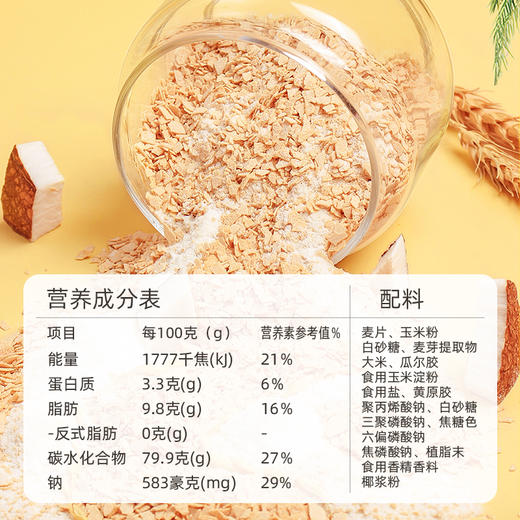南国  椰奶麦片560g 椰奶麦片 早餐速溶谷物冲饮即食代餐  美好的一天  从椰奶麦片开始 商品图3