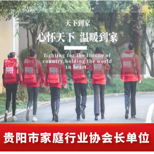 【家政服务】贵阳可用贵州天下到家200元代金券专业家政提供擦玻璃和基础保洁服务 商品图5