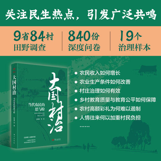 大国村治：当代农民的思与盼 商品图1