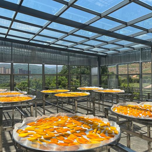 生态芒果干（无糖）70克*3袋/5袋 商品图4