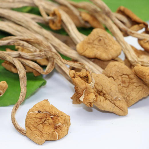 阿比该茶树菇138g 商品图2